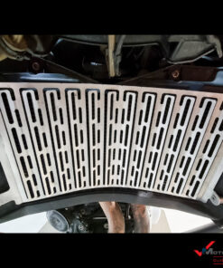 BMW-F850-GS-Radiator-Guard