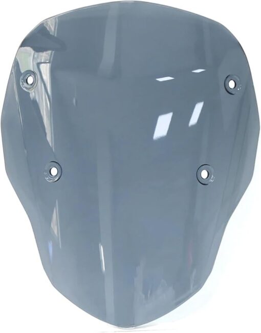 Smoked Windscreens for BMW R1300 GS