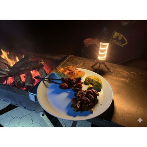 3 in 1 Rechargeable Camping Lamp with Mosquito Repellent - Image 5